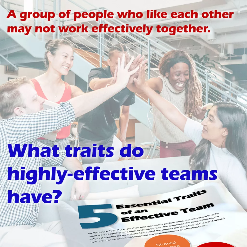 Essential Traits Of An Effective Team Essential Traits Of An Effective Team
